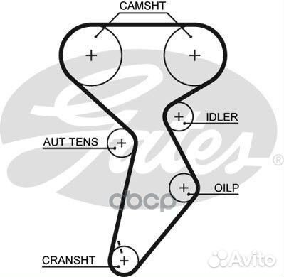 Ремень грм fiat doblo/marea/palio 1.6 1996 158з