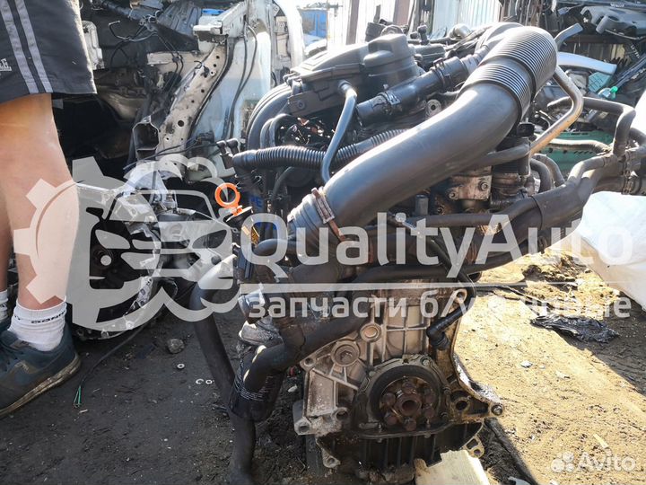 Двигатель Volkswagen Golf Plus 1.6 л