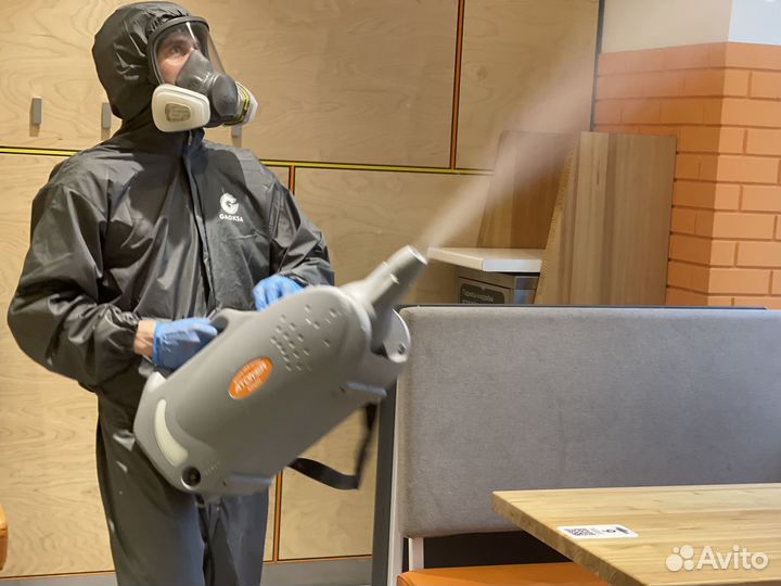 Дезинсекция, уничтожение насекомых. Частный мастер