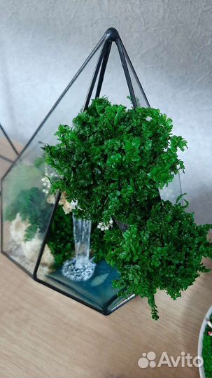 Композиция из стабилизированных растений и мхов