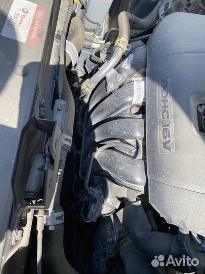 Kia Sportage 2.0 AT, 2021, 19 100 км