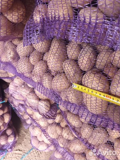 Картофель вкусный