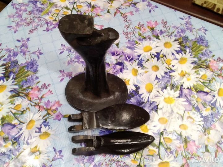 Лапа сапожная