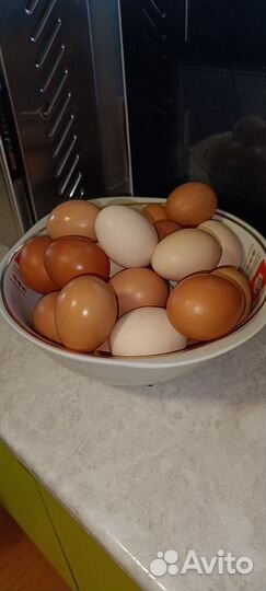 Домашние куриные яйца