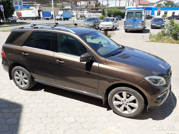 Багажник на крышу Mercedes-Benz ML, Turtle