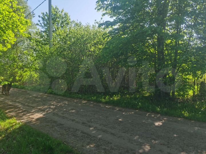 Участок 12,8 сот. (ИЖС)