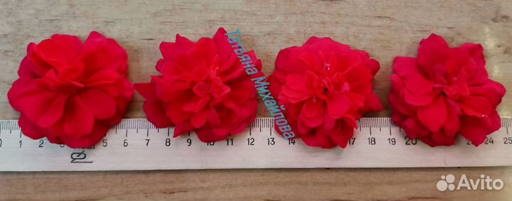 Пеларгонии (герани) юв Звезда Водолея и др