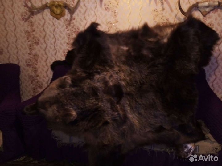 Шкура искуственная