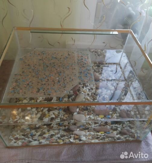 Аквариум для черепах водных