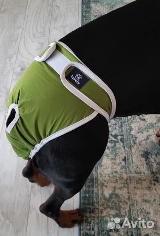 Трусы гигиенические многоразовые для собак