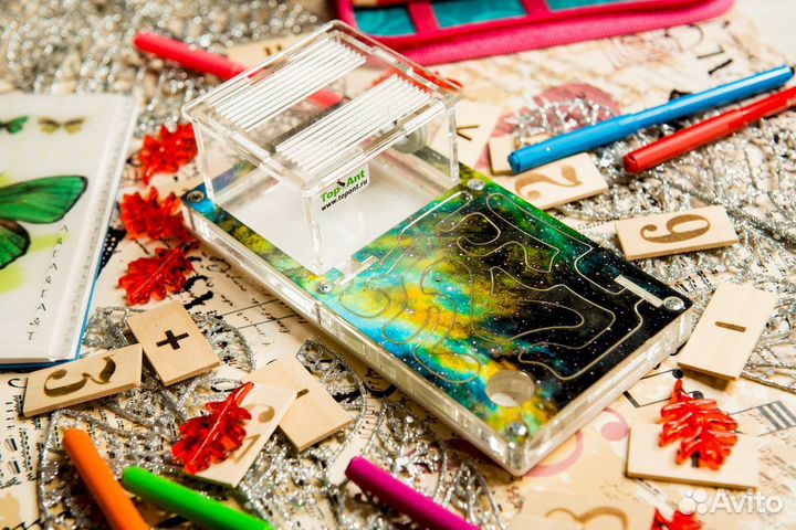 Муравьиная ферма