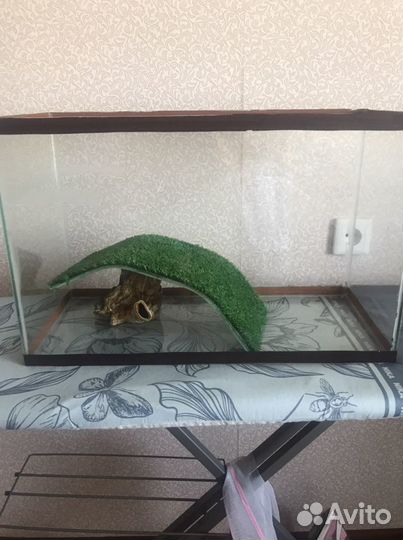 Аквариум