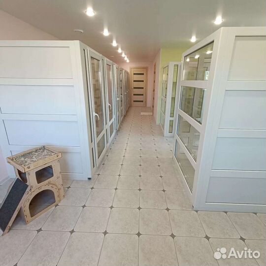 Передержка (Отель для кошек 