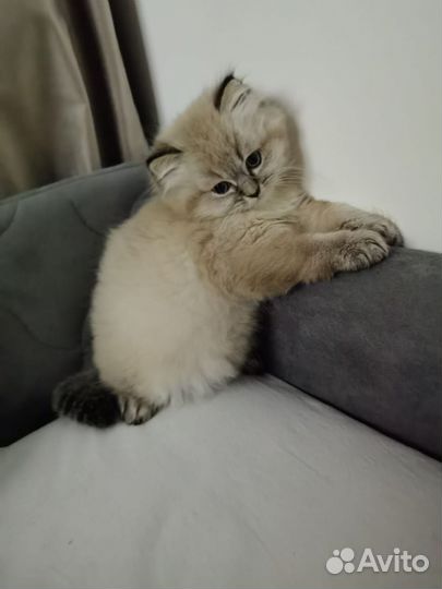 Котик для вязки