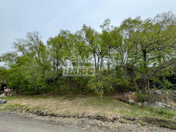 Участок 5 га (ИЖС)