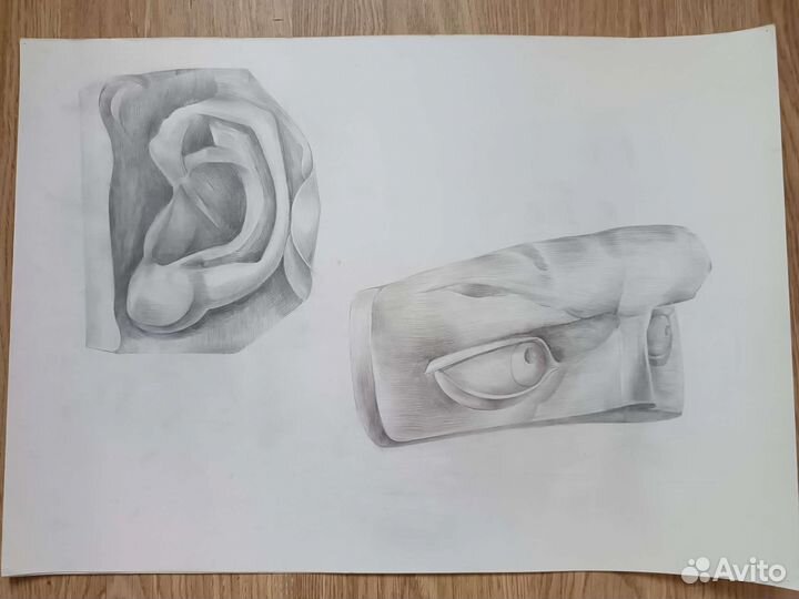 Академический рисунок. Части лица Давида