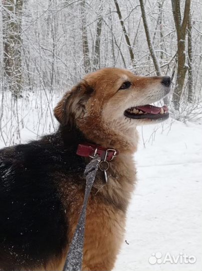 Герда готова покорить ваше сердце