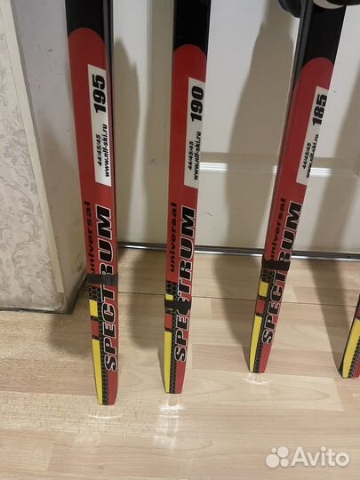 Беговые лыжи Spectrum Universal