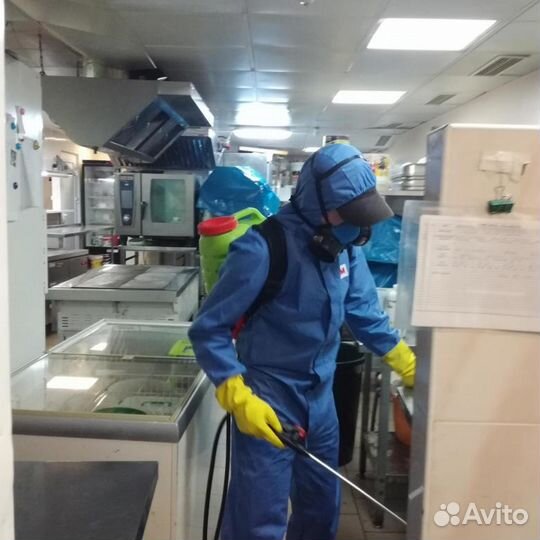 Дезинфекция