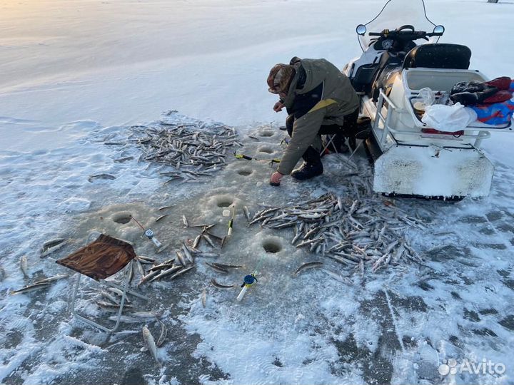 Рыбалка на Белом море / Архангельская область