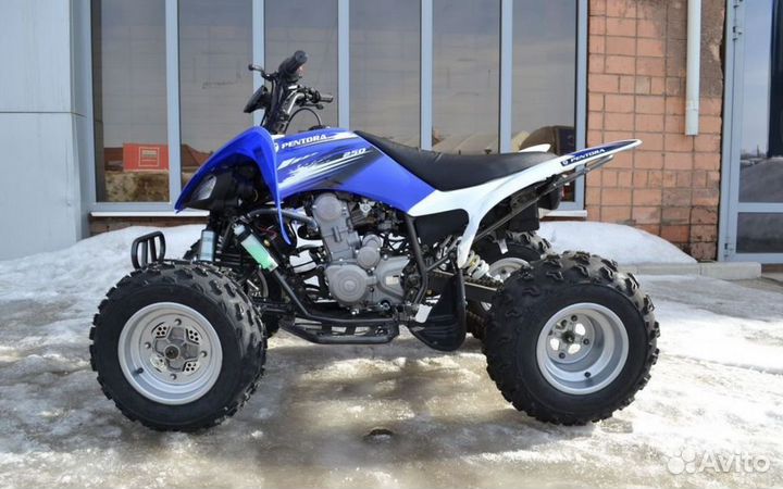 Квадроцикл Motoland ATV 250 S синий