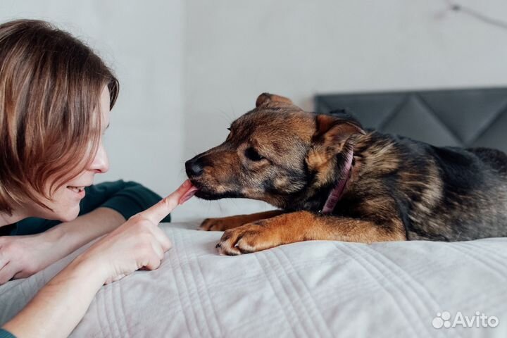 Щенок в добрые руки