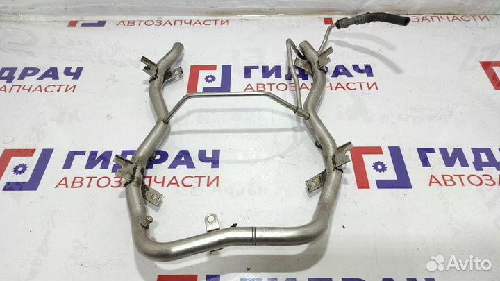 Рейка топливная (рампа) BMW X5 13531437443