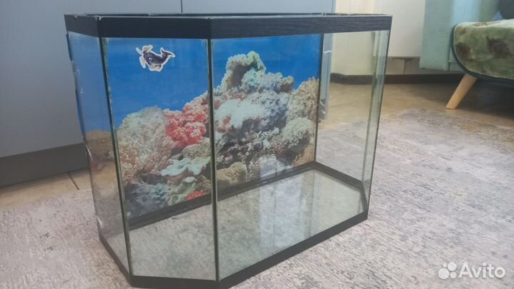 Панорамный аквариум 60л
