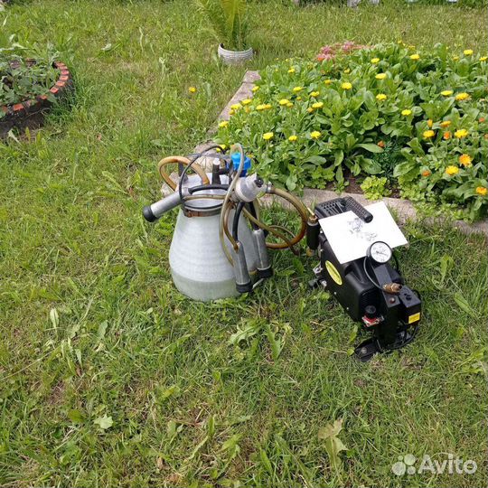 Доильный аппарат для коров