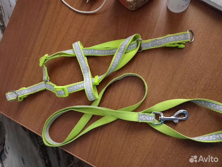 Поводок и шлейка для собаки