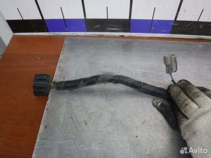 Проводка моторного отсека Ssang Yong Kyron D20DT