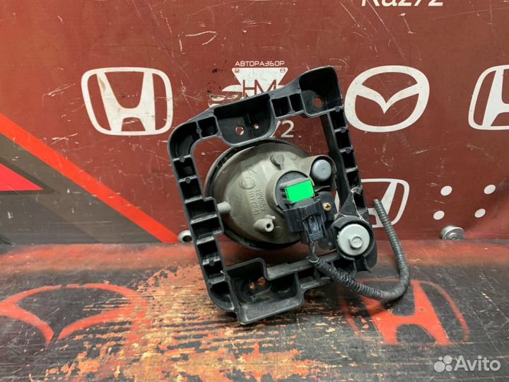 Фара противотуманная правая Honda Accord 8 CU 2008