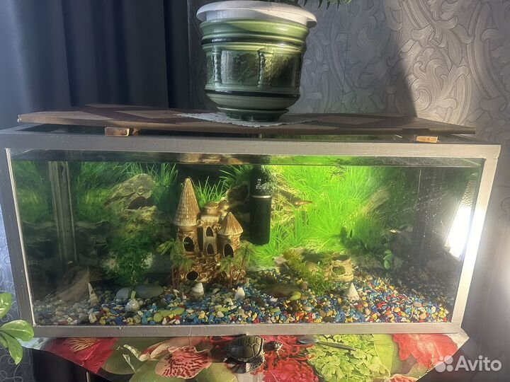 Аквариум на 70 л
