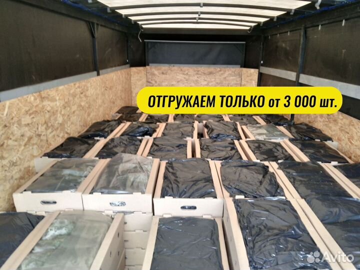 Саженцы ели зкс