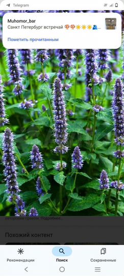 Участок 8 сот. (ИЖС)