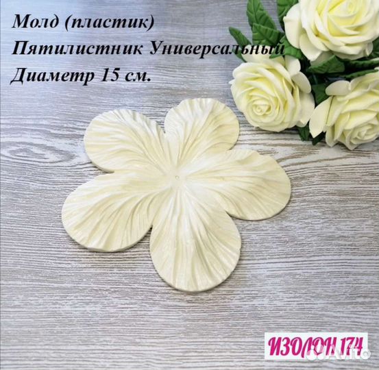 Молды, вайнеры