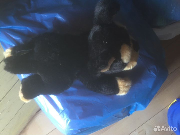 Собака. Мягкая игрушка