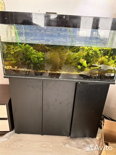 Аквариум 200л