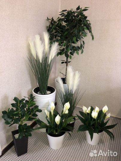 Искусственные растения