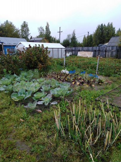 Дача 42 м² на участке 10 сот.