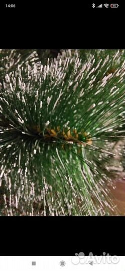 Елка пушистая (сосна) 210 см