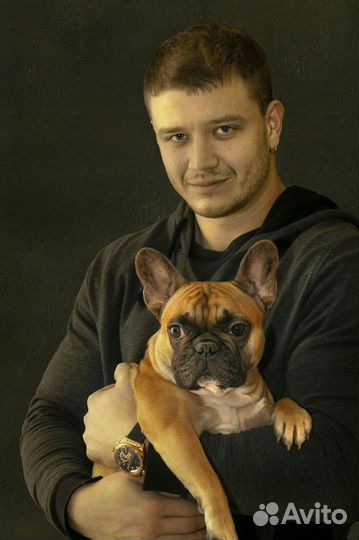 Фотосессия в студии Деловой портрет