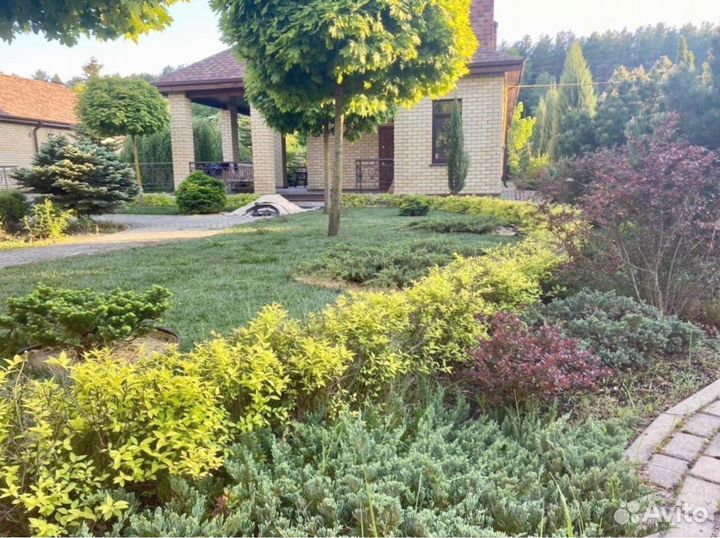 Рулонный газон 