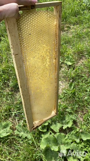 Сушь магазинная