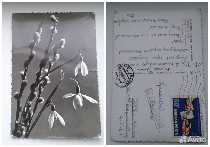 Открытки Венгрия 1950 - 1960 годы