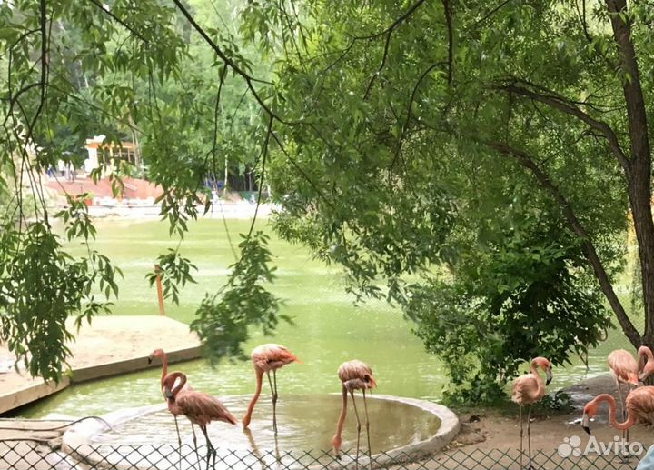 Тур выходного дня в Аквапарк Новосибирска