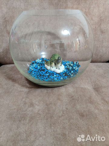 Круглый аквариум 10 литров