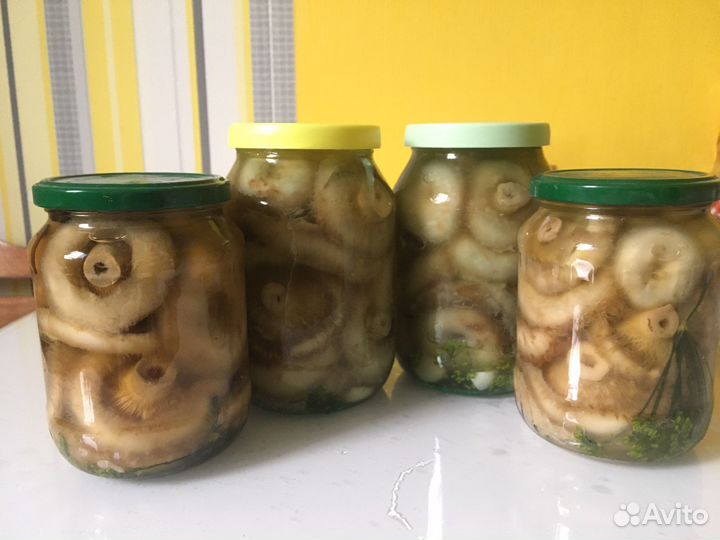 Белые грибы соленые