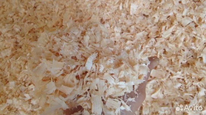 Стружка хвойных пород сухой опт. продажа 240 литр