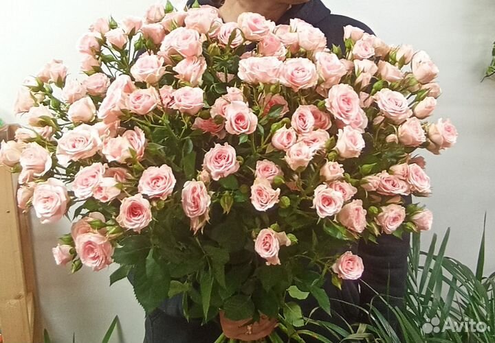 Кустовые розы